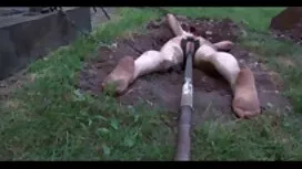 Babette porno gratui ...