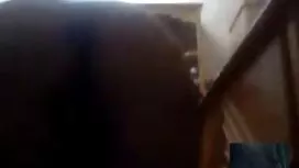 Amber donne BJ film  ...