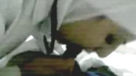 Mexican Rapslut porn ...