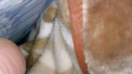 Couple film porno en ...